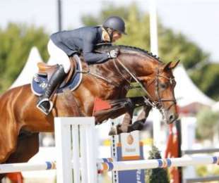 Golddigger__Querly-Elvis x Corland Keur__