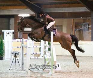 Successen in Den Ham